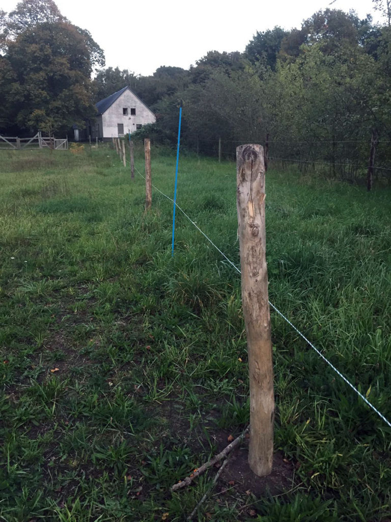 Photo of post in the ground to make a fence