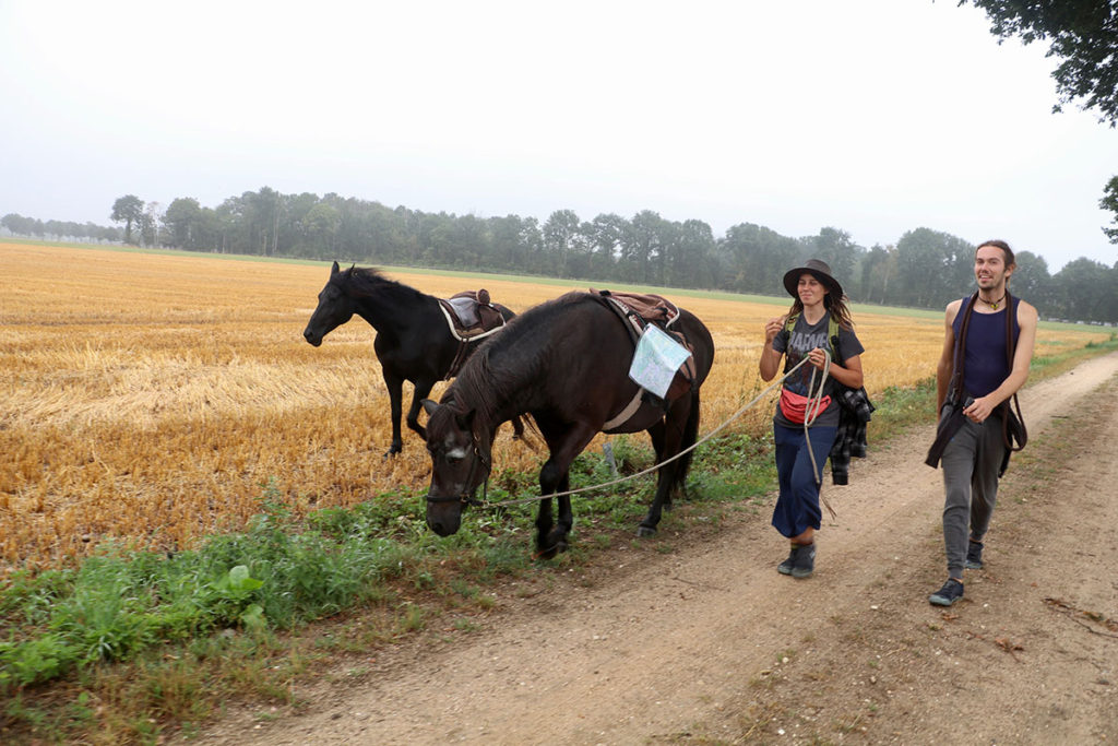 Photo of 2 horses and 2 people walking along a dirt path next to a field
