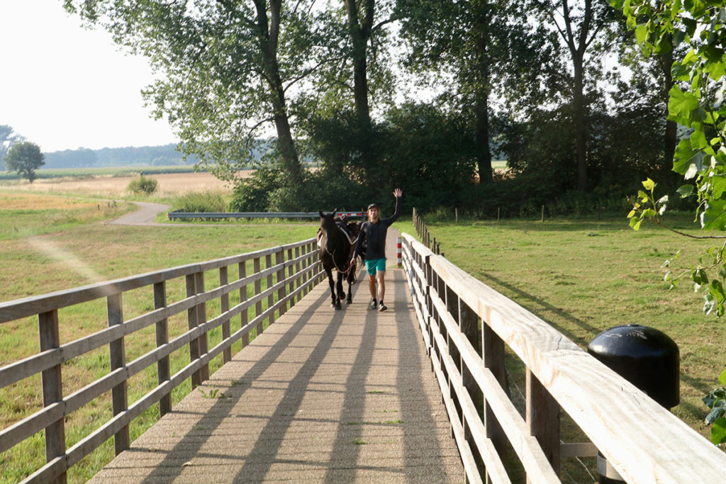 Photo of a man and a horse crossing a wooden bridge