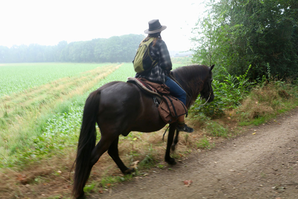 Photo of a woman riding a brown horse on a path next to a field
