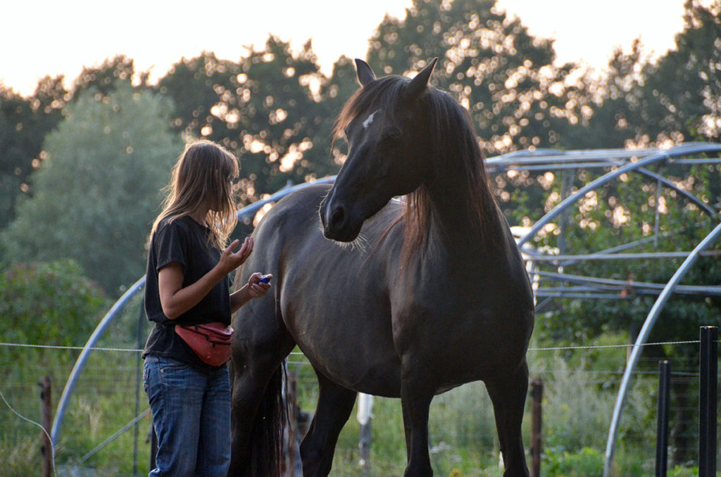 Photo of a woman standing next to a horse