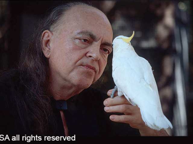 Photo of Adi Da Samraj looking intently at a white bird he is holding in his hand