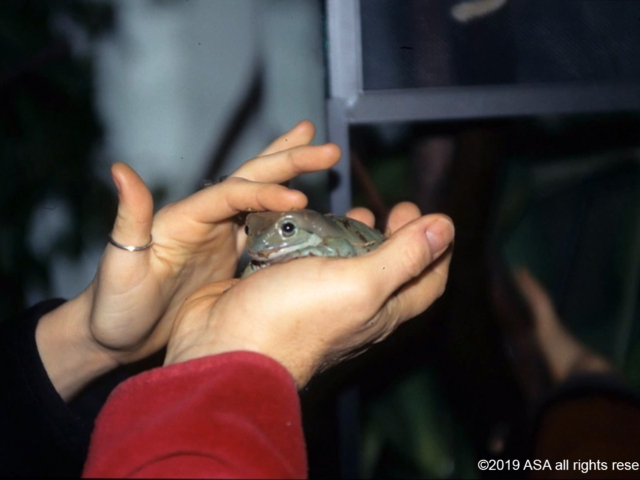 Photo of Adi Da Samraj gently holding a frog