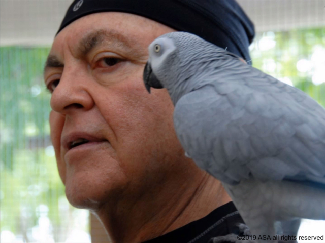 Photo of Adi Da Samraj with a gray bird on his shoulder