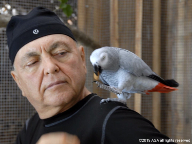 Photo of Adi Da Samraj with a gray bird on his shoulder