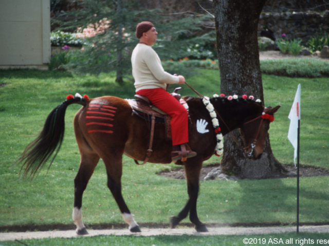 Photo of Adi Da Samraj riding a horse