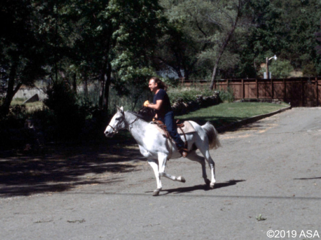 Photo of Adi Da Samraj riding a white horse that is running