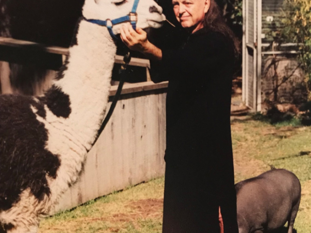 Photo of Adi Da Samraj petting a llama with a pig near his feet