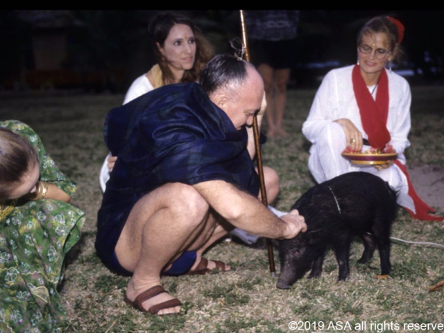 Photo of Adi Da Samraj petting a little black pig