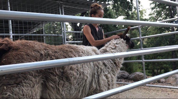 photo of a woman sitting next to a seated llama