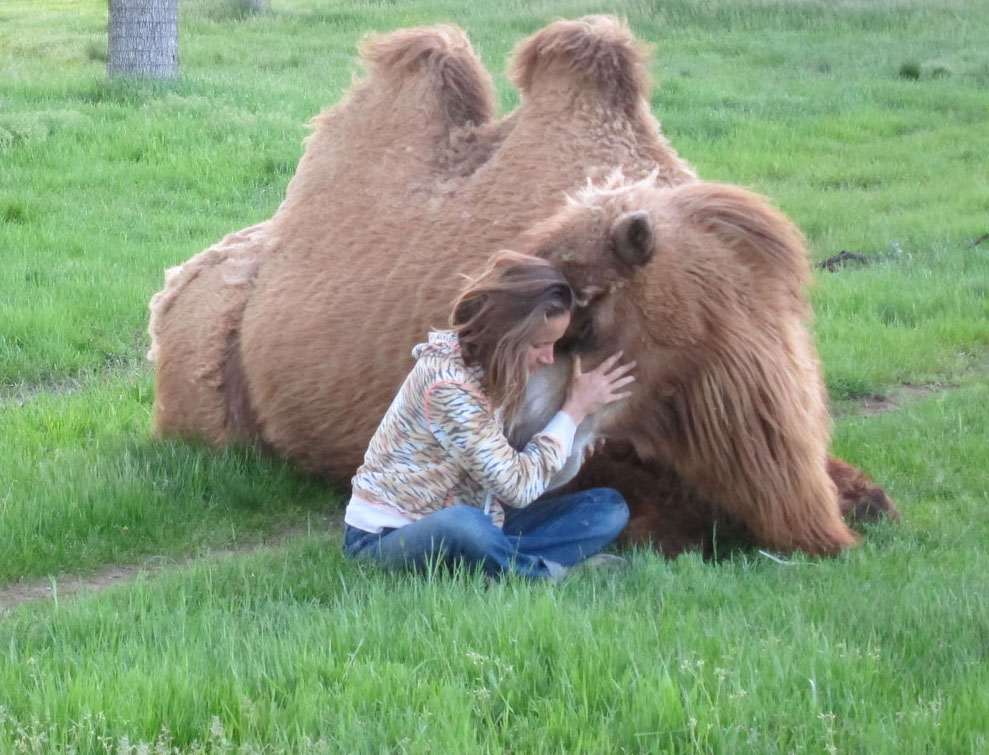 sara sitting with a camel