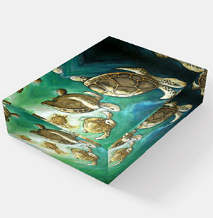 photo of a sea turtle paper weight